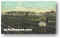 celery_field_2.jpg (14282 bytes)